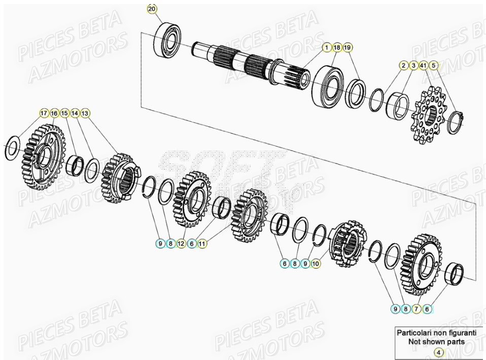 Transmission AZMOTORS PiÃ¨ces RR 200 RACING 2T - 2021