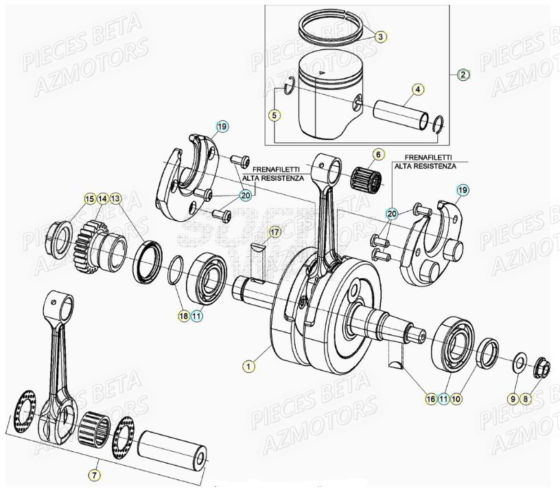 Vilebrequin AZMOTORS PiÃ¨ces RR 200 RACING 2T - 2021