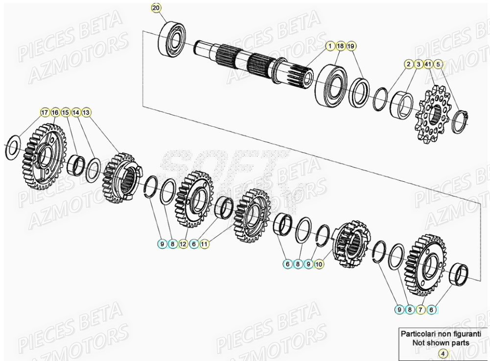 Transmission AZMOTORS PiÃ¨ces RR 200 RACING 2T - 2022