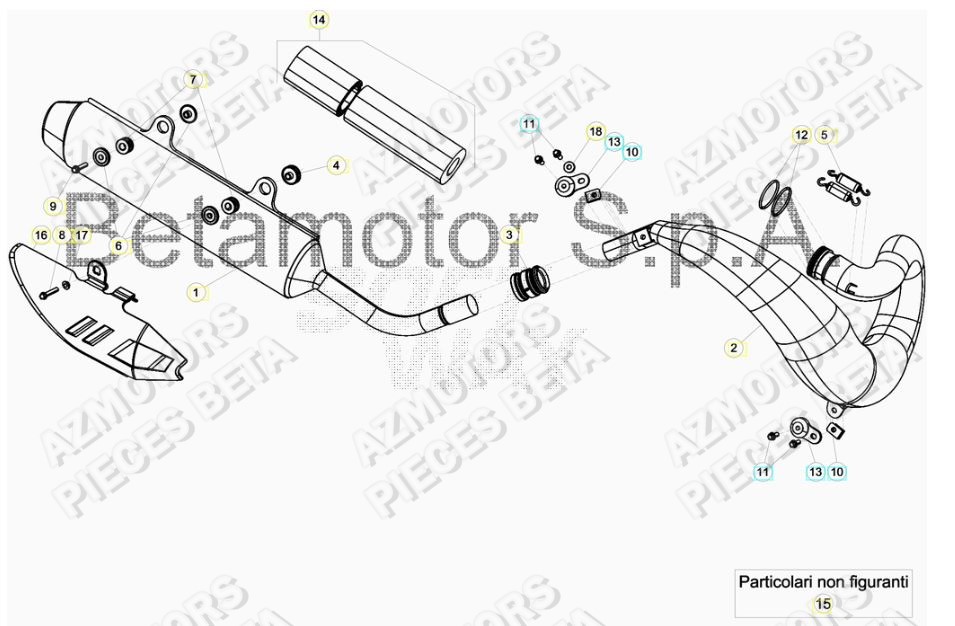Echappement AZMOTORS Pieces BETA RR 2T 250 - (2019)