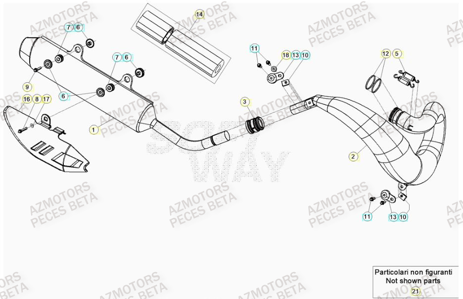 Echappement AZMOTORS Pieces BETA RR 2T 250 - (2021)