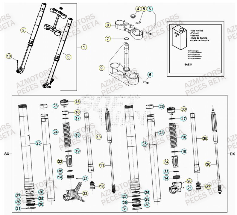 Fourche AZMOTORS Pieces BETA RR 2T 250 - (2022)