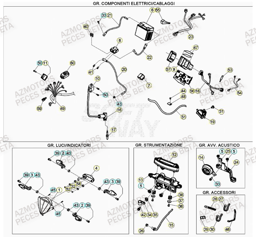 Systeme Electrique AZMOTORS Pieces BETA RR 2T 250 - (2023)