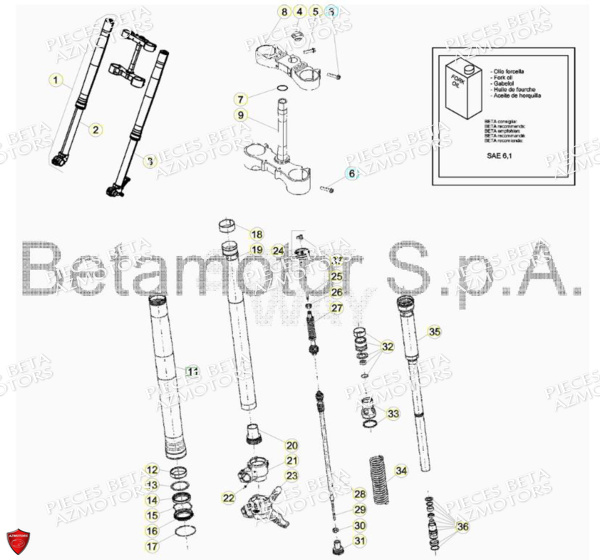 Fourche AZMOTORS Pieces BETA RR RACING 2T 250 - (2018)