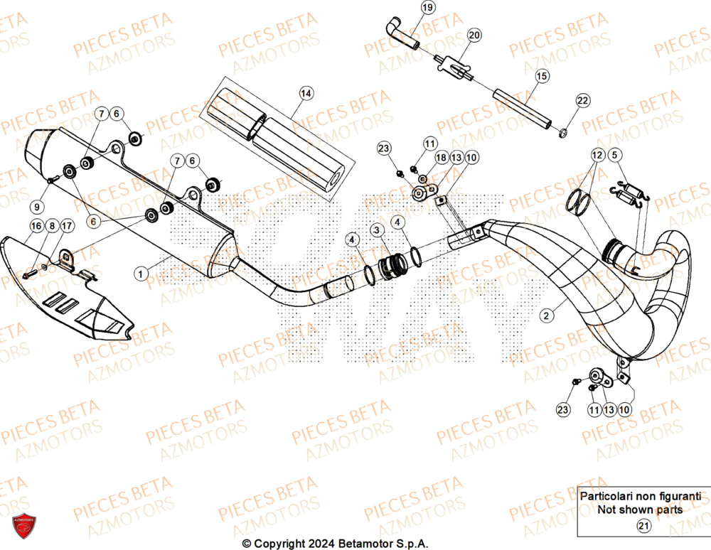 Echappement AZMOTORS Pieces BETA RR RACE 2T 250 - (2025)