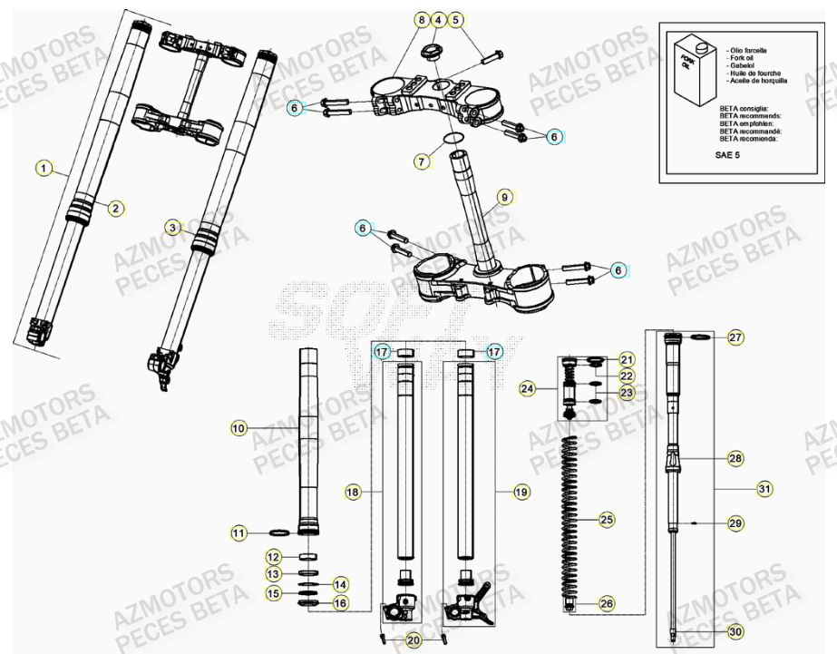 Fourche AZMOTORS Pieces BETA RR RACING 2T 250 - (2020)