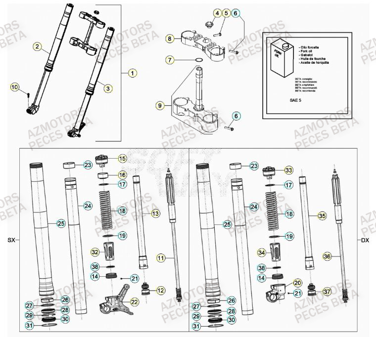 Fourche AZMOTORS Pieces BETA RR 2T 300 - (2022)