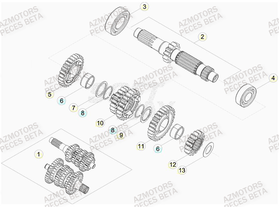 Boite A Vitesses AZMOTORS Pieces BETA RR 2T 300 HOLCOMBE REPLICA - (2019)