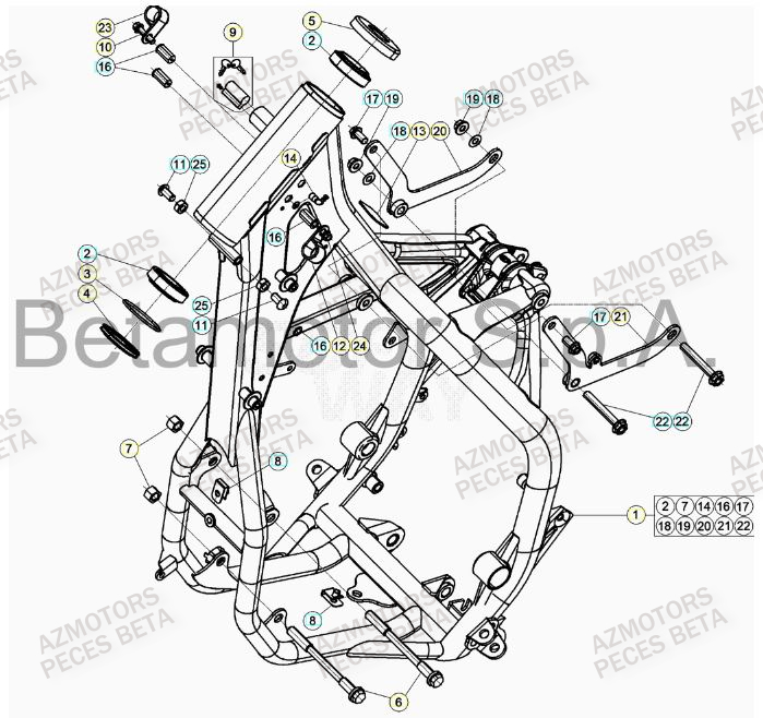 Chassis AZMOTORS Pieces BETA RR 2T 300 HOLCOMBE REPLICA - (2019)
