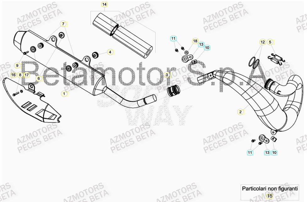 Echappement AZMOTORS Pieces BETA RR 2T 300 HOLCOMBE REPLICA - (2019)