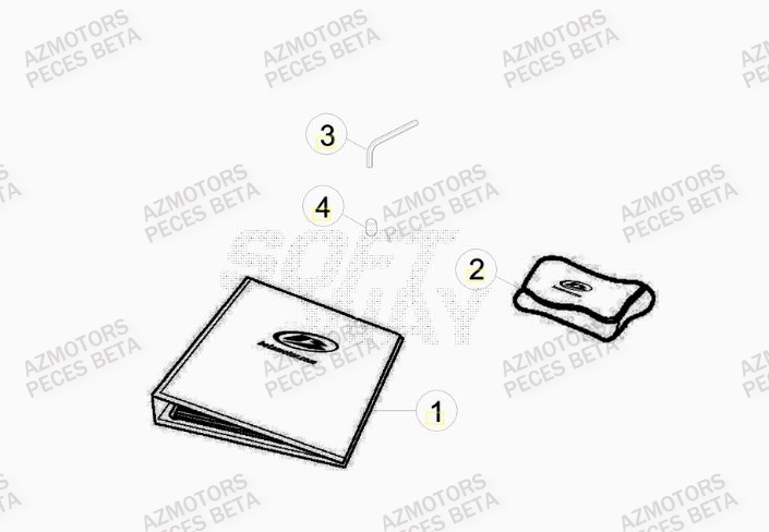 Manuel AZMOTORS Pieces BETA RR 2T 300 RACING - (2015)