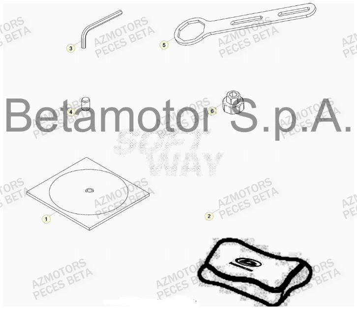 Manuel AZMOTORS Pieces BETA RR 2T 300 RACING - (2019)