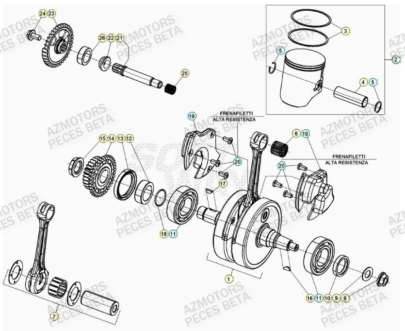 Vilebrequin AZMOTORS Pieces BETA RR 2T 300 RACING - (2020)