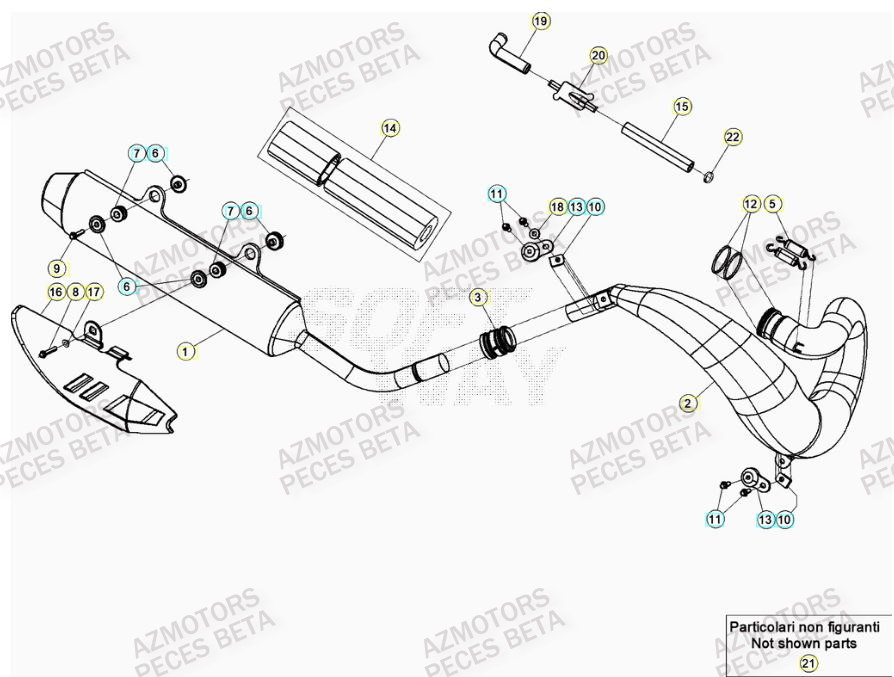 Echappement AZMOTORS Pieces BETA RR 2T 300 RACING - (2023)