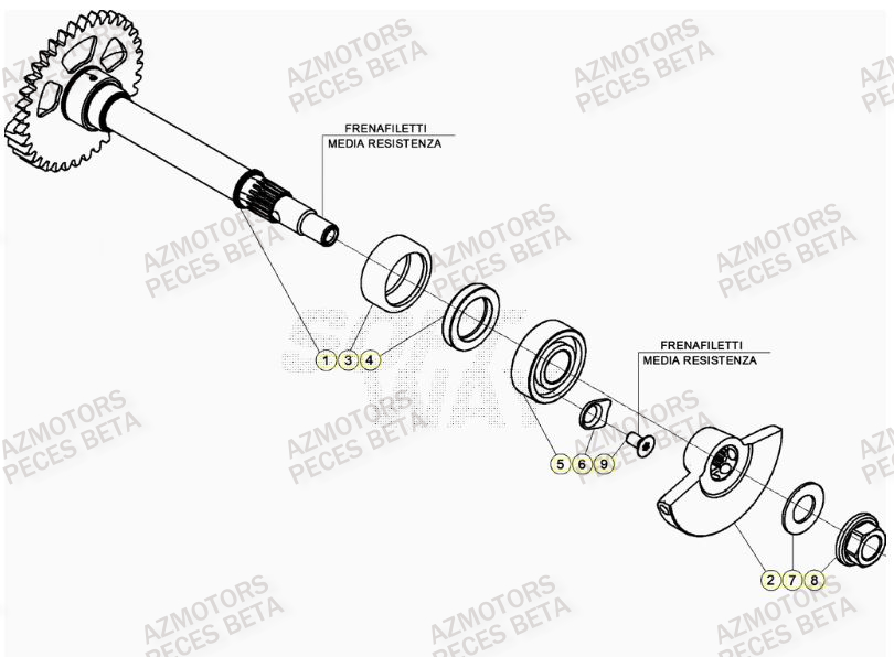 Arbre Equilibrage AZMOTORS PiÃ¨ces Beta RR 4T 350 Enduro - (2023)