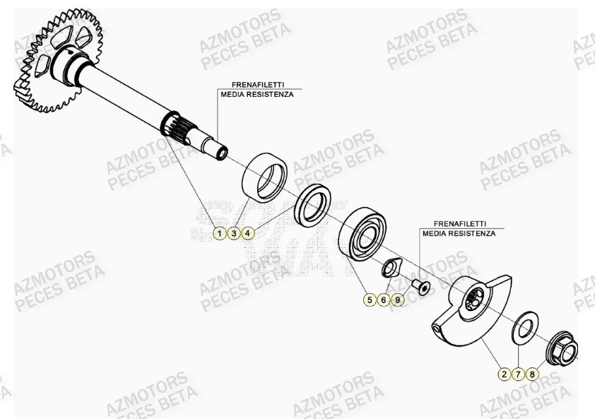 Arbre Equilibrage AZMOTORS PiÃ¨ces BETA RR 4T RACING 350 - (2021)

