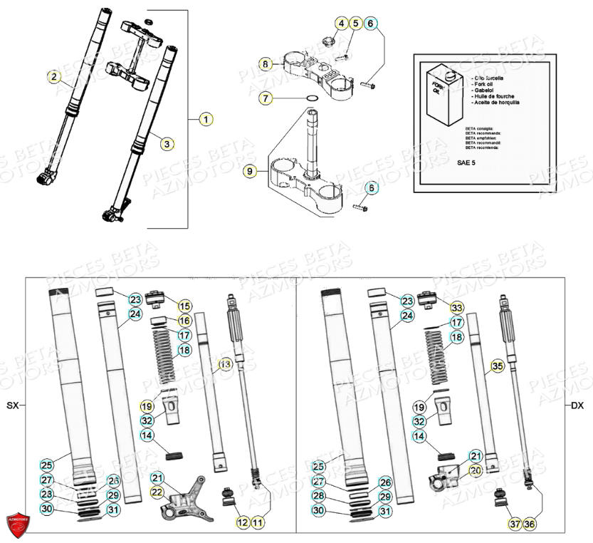 Fourche AZMOTORS PiÃ¨ces Beta RR 4T 390 Enduro - (2021)