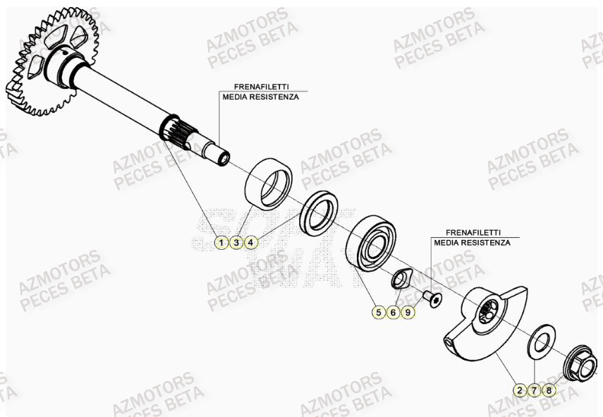 Arbre Equilibrage AZMOTORS PiÃ¨ces Beta RR 4T 390 Enduro - (2022)