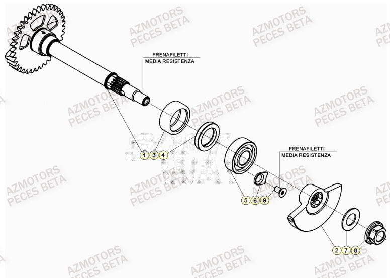Arbre Equilibrage AZMOTORS PiÃ¨ces Beta RR 4T 390 Enduro - (2023)