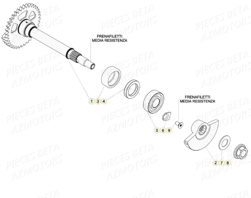 Arbre D Equilibrage AZMOTORS PiÃ¨ces BETA RR 4T RACING 390 - (2020)

