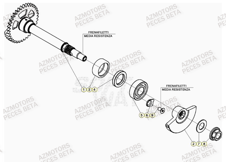 Arbre Equilibrage AZMOTORS PiÃ¨ces BETA RR 4T RACING 430 - (2023)

