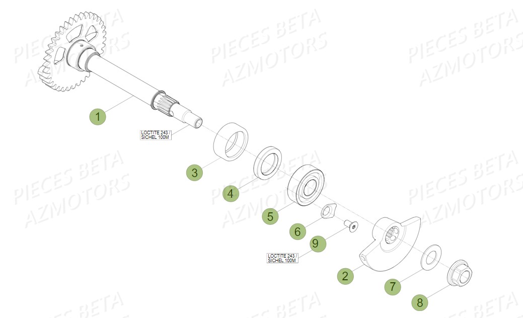 Arbre Equilibrage AZMOTORS PiÃ¨ces Beta RR 4T 450 Enduro - 2010