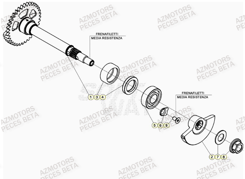 Arbre Equilibrage AZMOTORS PiÃ¨ces BETA RR 4T RACING 480 - (2021)

