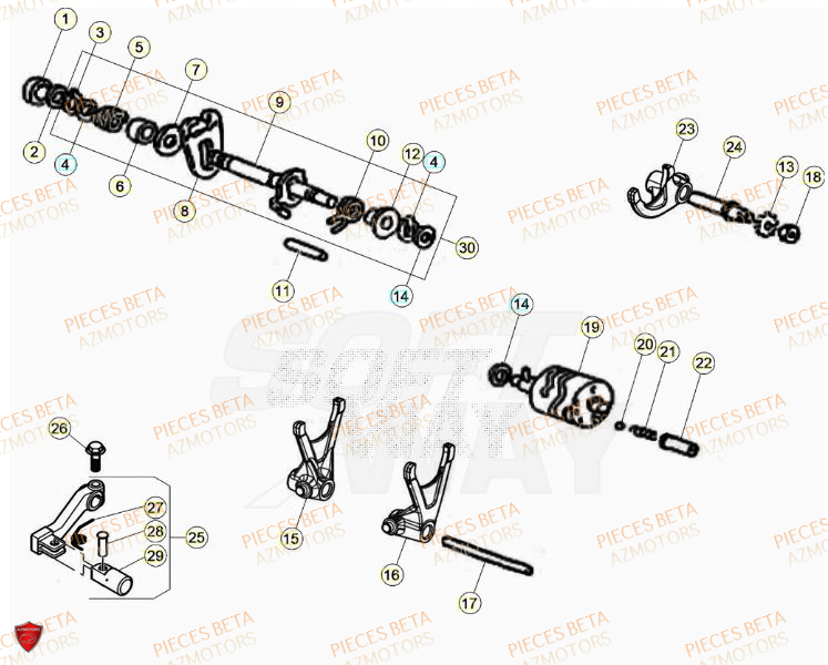 Selecteur De Vitesses AZMOTORS PiÃ¨ces Beta RR 50 SPORT - 2023-2024