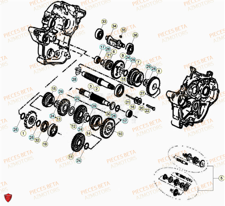Transmission AZMOTORS PiÃ¨ces Beta RR 50 STANDARD - 2023-2024