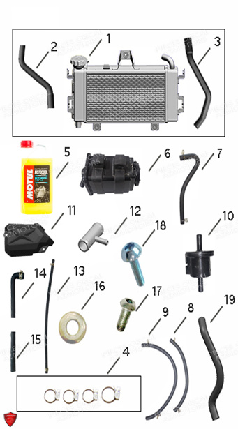 LIQUIDE DE REFROIDISSEMENT MOTUL MOTOCOOL EXPERT (-37°C) (1L) pour Refroidissement de SK01 125 Euro5 LIQUIDE DE REFROIDISSEMENT MOTUL MOTOCOOL EXPERT (-37°C) (1L) pour Refroidissement de SK01 125 Euro5