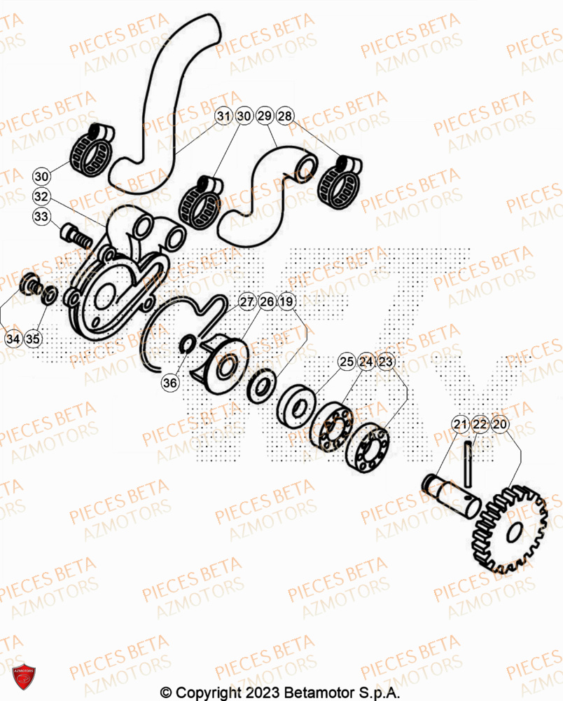 Installation De Refroidissement AZMOTORS Pieces BETA TRIAL EVO 300 2T SS - (2024)
