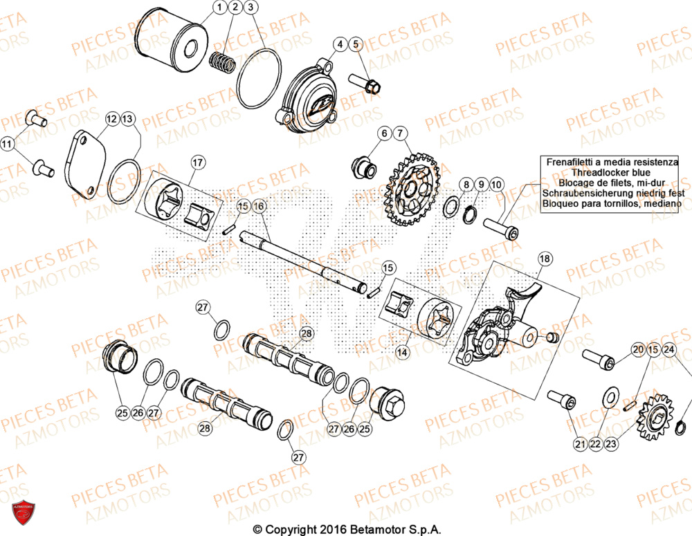 Circuit De Lubrification AZMOTORS Pieces BETA TRIAL EVO 300 4T FACTORY - (2024)
