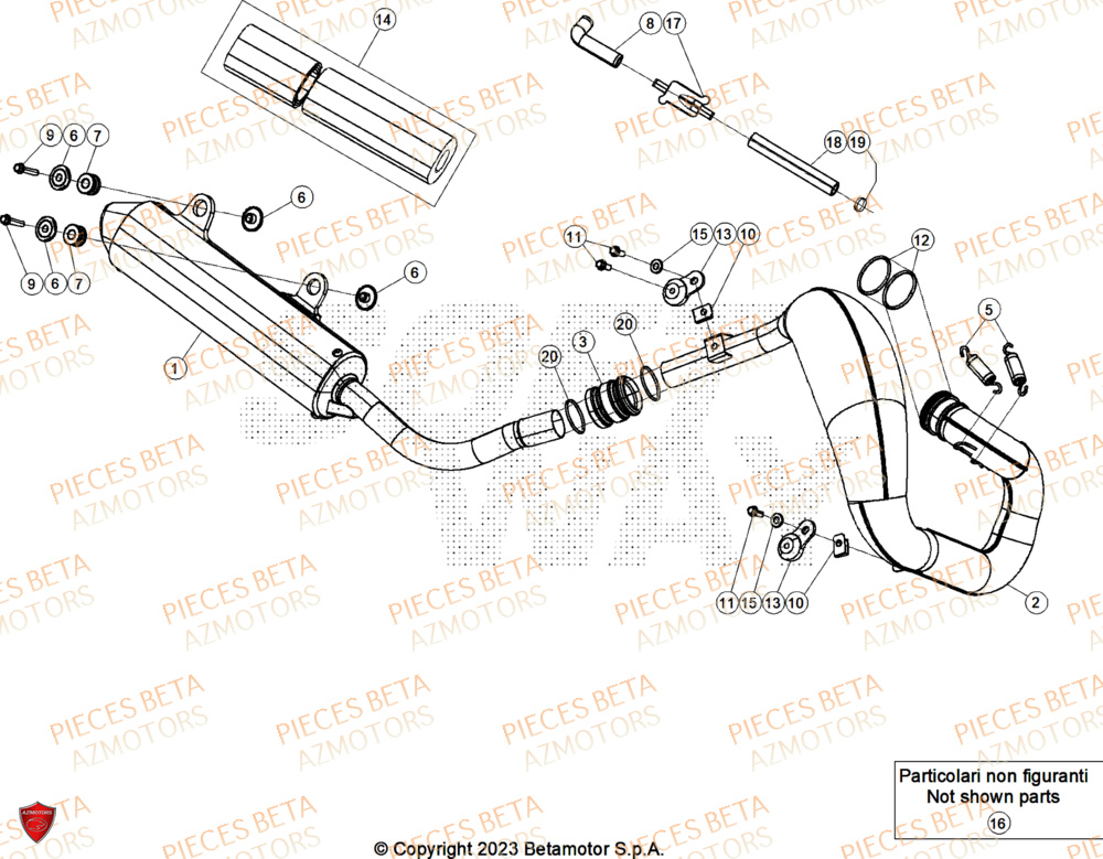 Echappement AZMOTORS Pieces BETA ENDURO XTRAINER 300 2T - (2025) EURO5+