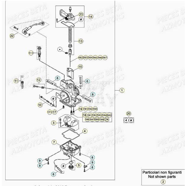 Carburateur AZMOTORS Pieces BETA RR XTRAINER 250 2T - (2022)