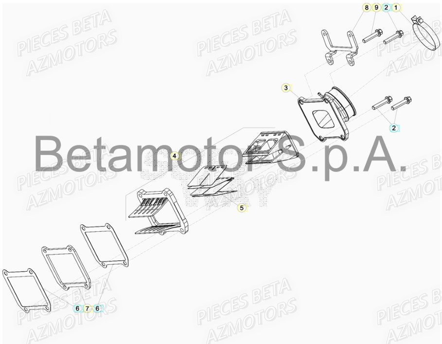 Admission AZMOTORS PiÃ¨ces BETA RR XTRAINER 300 2T - [2019]